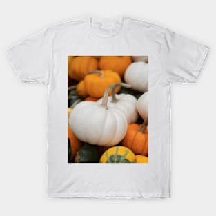 Assorted Pumpkins T-Shirt